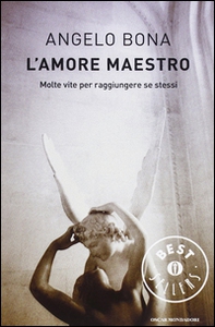 L'amore maestro. Molte vite per raggiungere se stessi - Librerie.coop