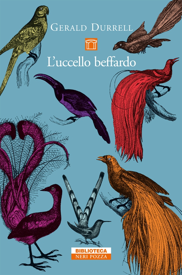 L'uccello beffardo - Librerie.coop L'uccello beffardo - Librerie.coop