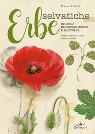 Erbe selvatiche. Ricerca, riconoscimento e raccolta - Librerie.coop