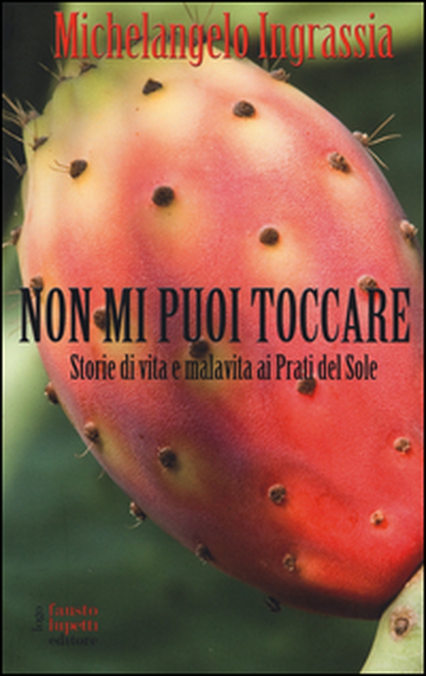 Non mi puoi toccare. Storie di vita e malavita ai Prati del Sole - Librerie.coop Non mi puoi toccare. Storie di vita e malavita ai Prati del Sole - Librerie.coop