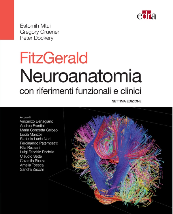 Fitzgerald Neuroanatomia - Librerie.coop Fitzgerald Neuroanatomia - Librerie.coop