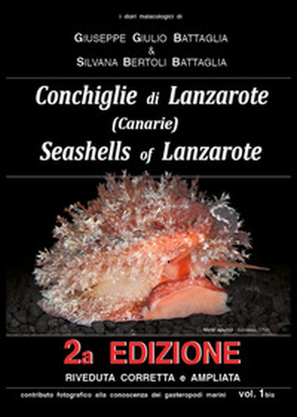 Conchiglie di Lanzarote-Seashells of Lanzarote - Vol. 1 - Librerie.coop Conchiglie di Lanzarote-Seashells of Lanzarote - Vol. 1 - Librerie.coop