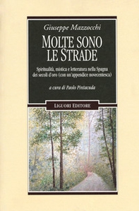 Molte sono le strade. Spiritualità, mistica e letteratura nella Spagna dei secoli d'oro (con un'appendice novecentesca) - Librerie.coop