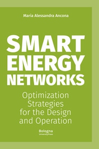 Smart energy networks. Optimization strategies for the design and operation - Librerie.coop