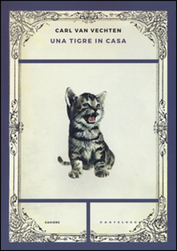Una tigre in casa - Librerie.coop Una tigre in casa - Librerie.coop