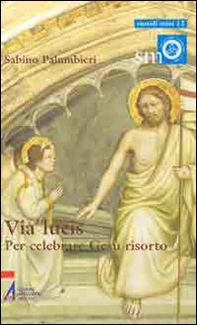 Via lucis. Per celebrare Gesù risorto - Librerie.coop