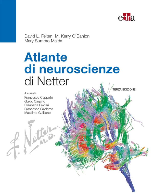Atlante di neuroscienze di Netter - 3 ed. - Librerie.coop Atlante di neuroscienze di Netter - 3 ed. - Librerie.coop