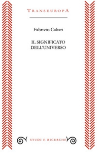 Il significato dell'universo - Librerie.coop