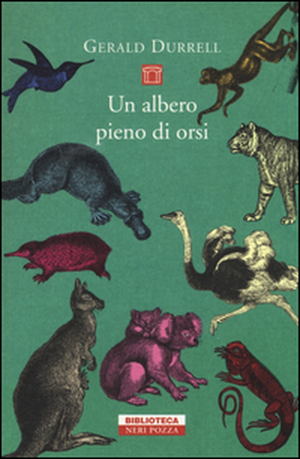 Un albero pieno di orsi - Librerie.coop Un albero pieno di orsi - Librerie.coop