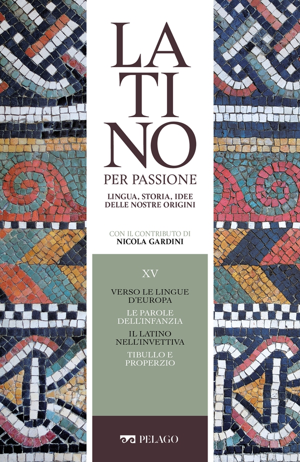 Verso le lingue d'Europa. Le parole dell'infanzia. Il latino nell'invettiva. Tibullo e Properzio - Librerie.coop Verso le lingue d'Europa. Le parole dell'infanzia. Il latino nell'invettiva. Tibullo e Properzio - Librerie.coop