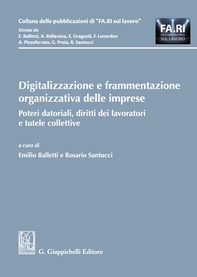 Digitalizzazione e frammentazione organizzativa delle imprese - Librerie.coop