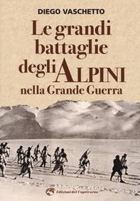 Le grandi battaglie degli alpini nella grande guerra - Librerie.coop