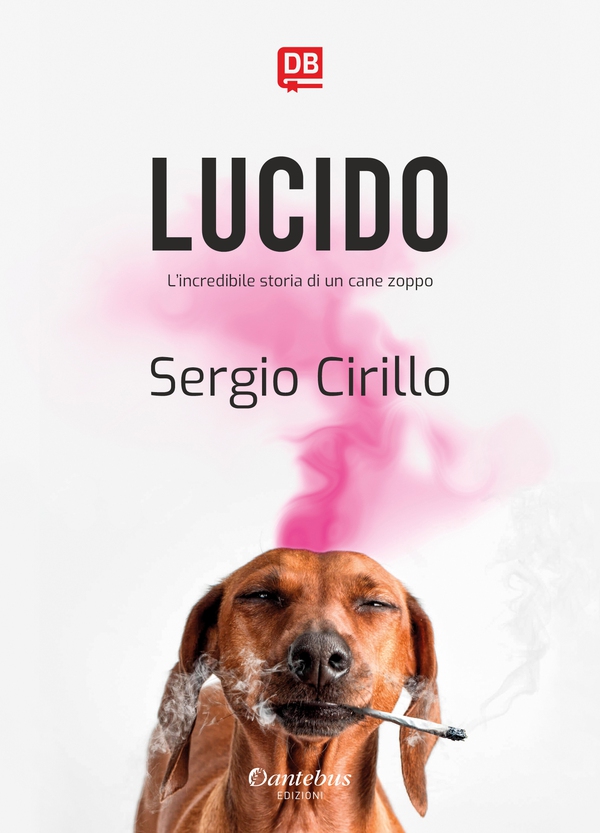 Lucido - Librerie.coop Lucido - Librerie.coop