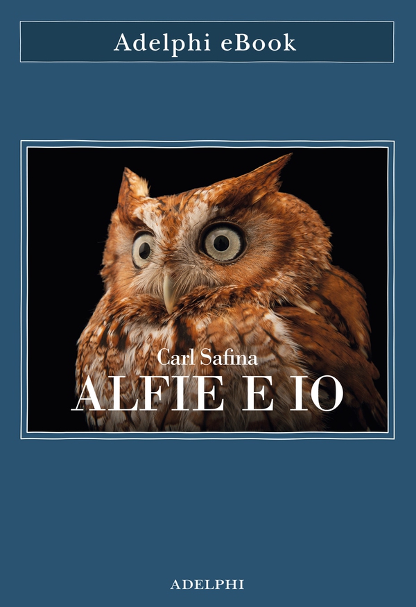 Alfie e io - Librerie.coop Alfie e io - Librerie.coop