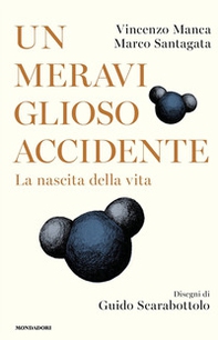 Un meraviglioso accidente. La nascita della vita - Librerie.coop