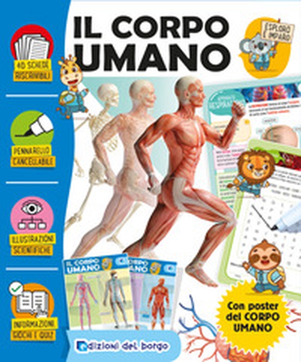 Il corpo umano. Esploro e imparo - Librerie.coop Il corpo umano. Esploro e imparo - Librerie.coop
