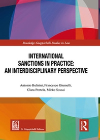 International sanctions in practice: an interdisciplinary perspective - Librerie.coop