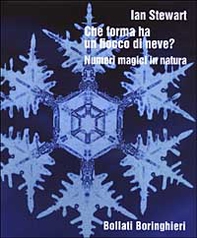 Che forma ha un fiocco di neve? Numeri magici in natura - Librerie.coop