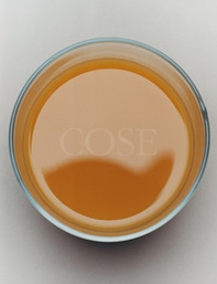 Cose. Journal - Librerie.coop Cose. Journal - Librerie.coop