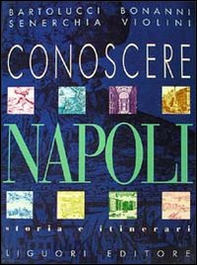Conoscere Napoli. Storia e itinerari - Librerie.coop