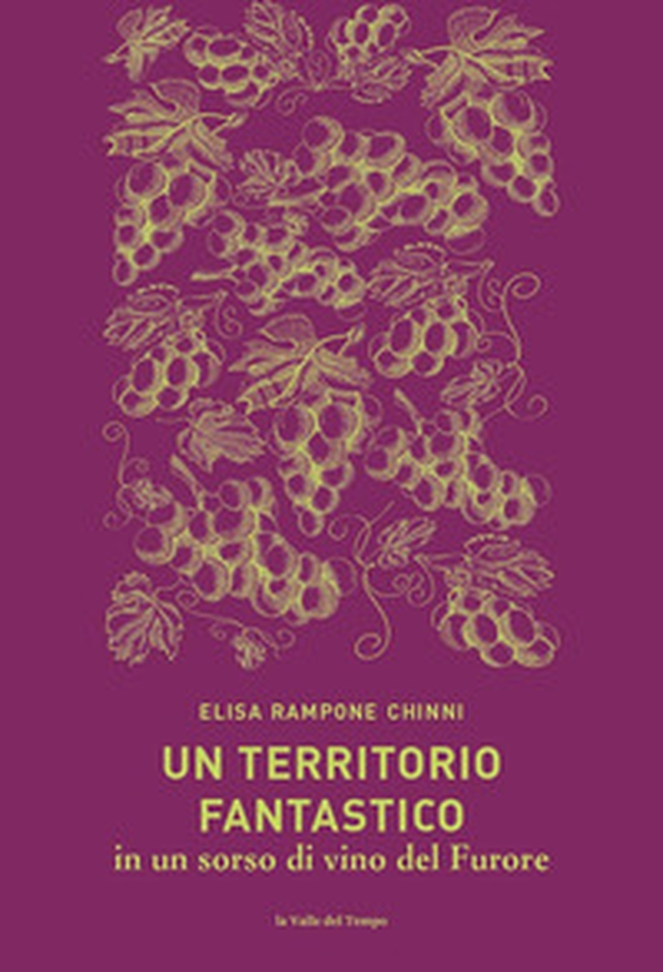 Un territorio fantastico in un sorso di vino del Furore - Librerie.coop