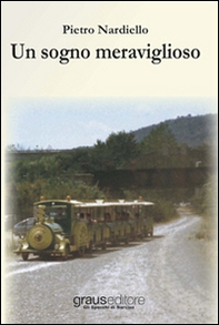 Un sogno meraviglioso - Librerie.coop