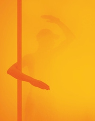 Armin Lorenz Gerold - Librerie.coop