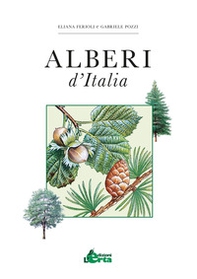 Alberi d'Italia. Guida al riconoscimento di oltre 100 specie - Librerie.coop