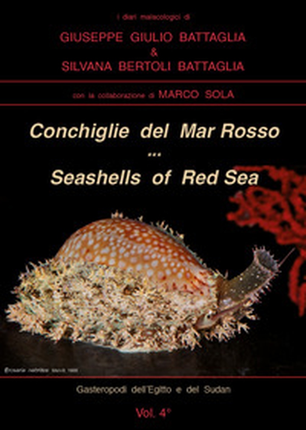 Conchiglie del Mar Rosso-Red Sea's seashelles - Librerie.coop Conchiglie del Mar Rosso-Red Sea's seashelles - Librerie.coop