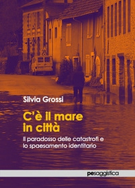 C'è il mare in città. Il paradosso delle catastrofi e lo spaesamento identitario - Librerie.coop