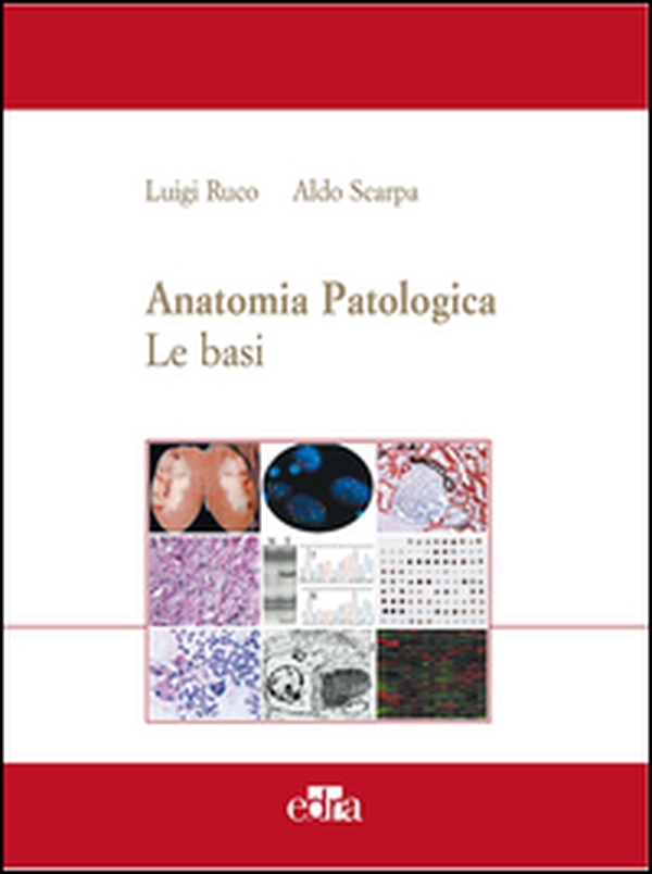 Anatomia patologica. Le basi - Librerie.coop Anatomia patologica. Le basi - Librerie.coop