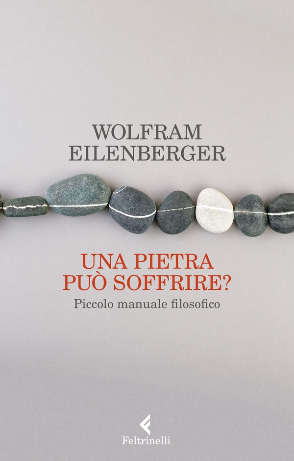 Una pietra può soffrire? - Librerie.coop Una pietra può soffrire? - Librerie.coop