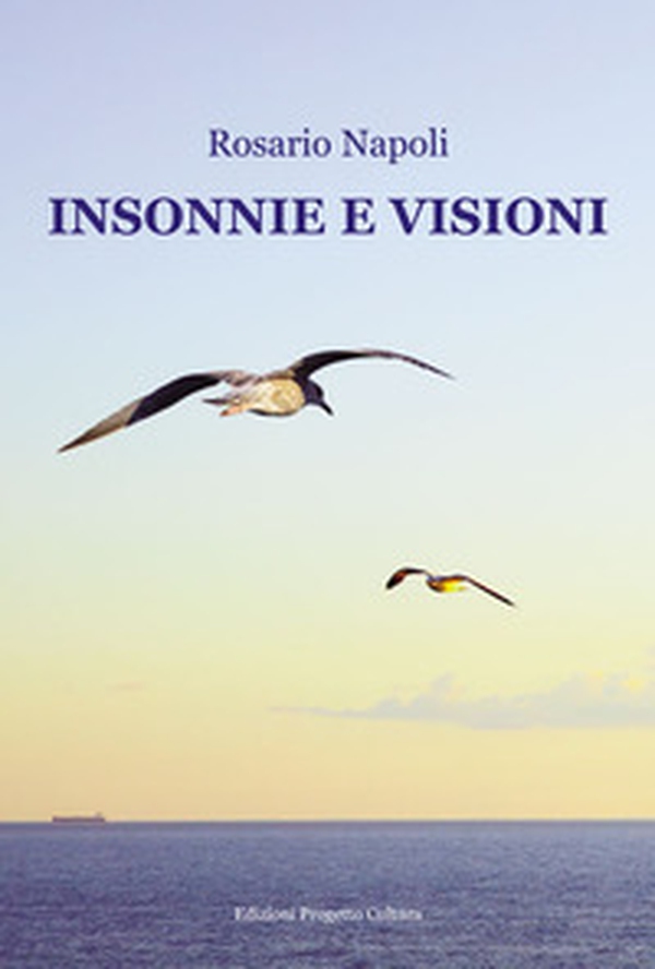 Insonnie e visioni - Librerie.coop Insonnie e visioni - Librerie.coop