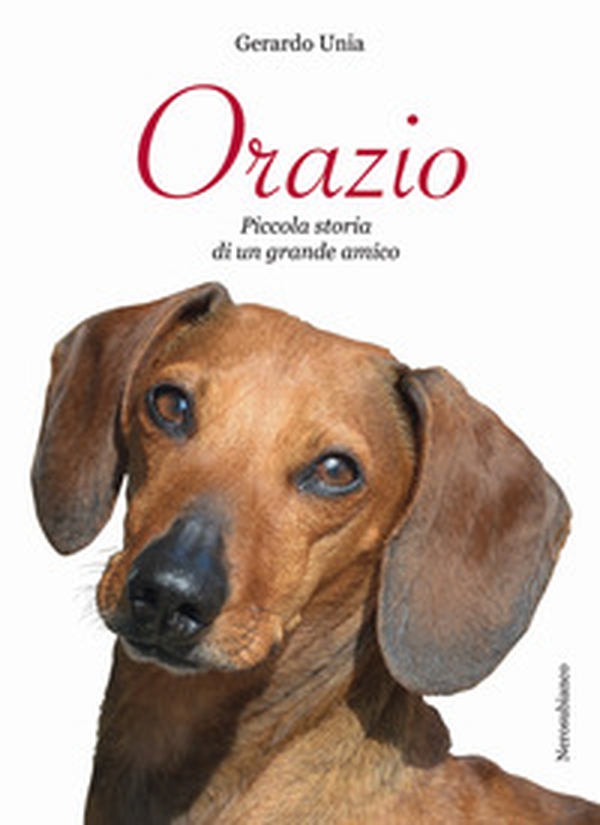 Orazio. Piccola storia di un grande amico - Librerie.coop Orazio. Piccola storia di un grande amico - Librerie.coop