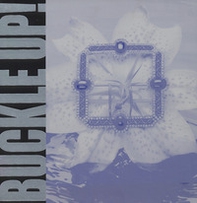 Buckle up. Due secoli di fibbie dalla raccolta Pennasilico. Ediz. italiana e inglese - Librerie.coop