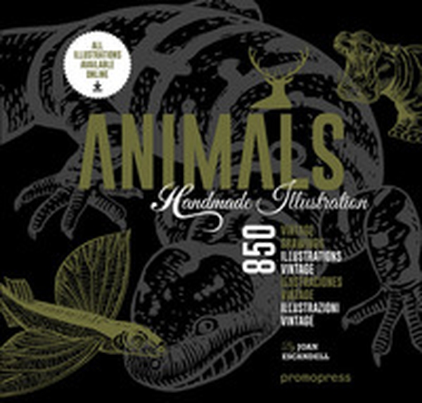 Animals: handmade illustrations - Librerie.coop Animals: handmade illustrations - Librerie.coop
