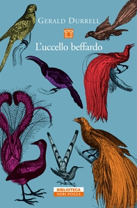 L'uccello beffardo - Librerie.coop