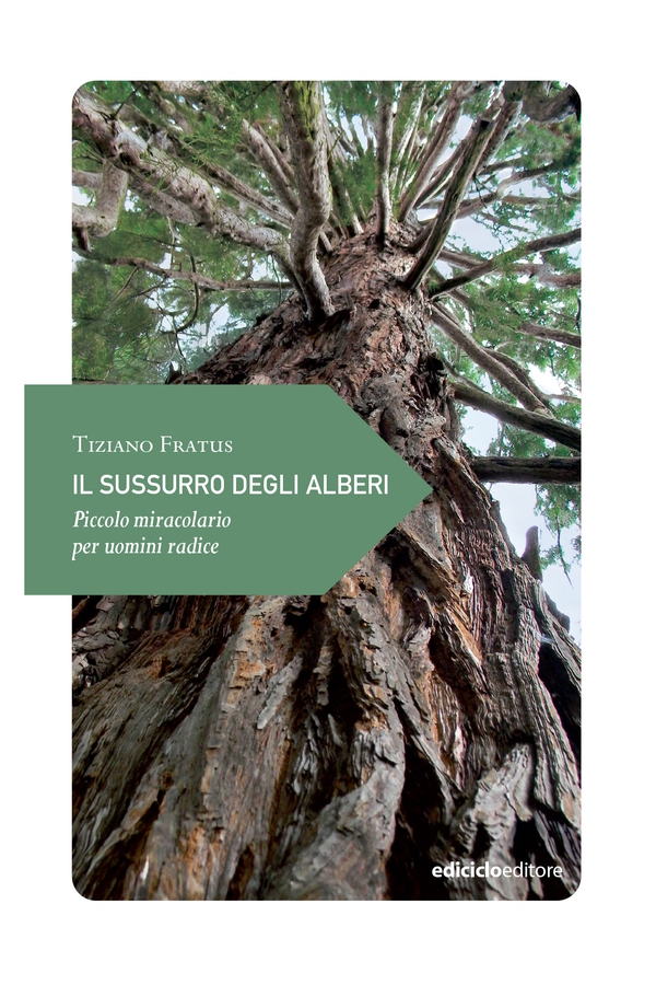 Il sussurro degli alberi - Librerie.coop Il sussurro degli alberi - Librerie.coop