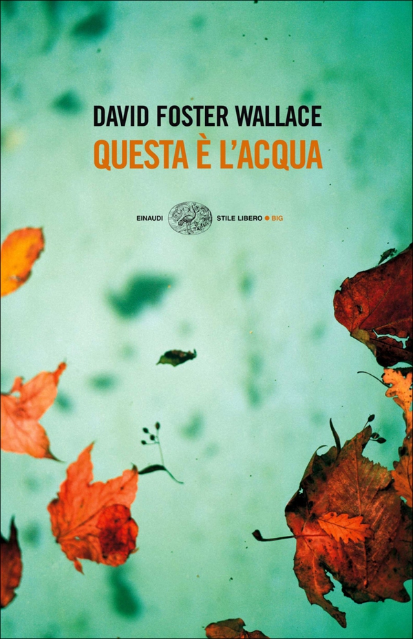 Questa è l'acqua - Librerie.coop Questa è l'acqua - Librerie.coop