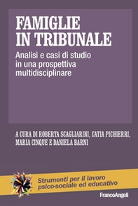Famiglie in tribunale. Analisi e casi di studio in una prospettiva multidisciplinare - Librerie.coop