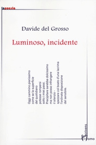 Luminoso, incidente - Librerie.coop
