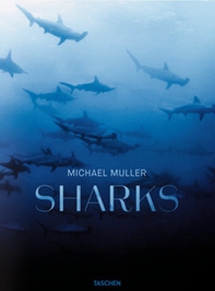 Michael Muller. Sharks. Ediz. inglese - Librerie.coop Michael Muller. Sharks. Ediz. inglese - Librerie.coop