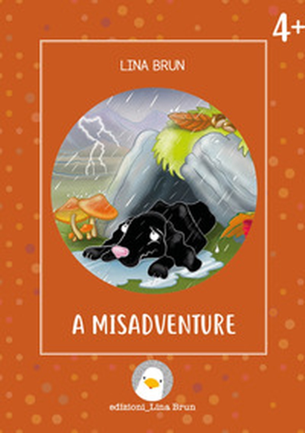 A misadventure - Librerie.coop A misadventure - Librerie.coop