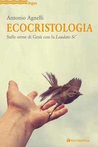 Ecocristologia. Sulle orme di Gesù con la Laudato si' - Librerie.coop