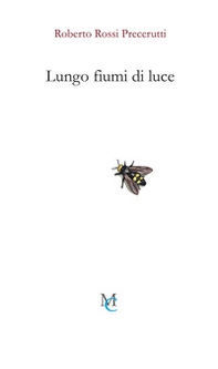 Lungo fiumi di luce - Librerie.coop