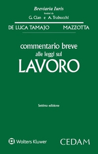 Commentario breve alle leggi sul lavoro - Librerie.coop