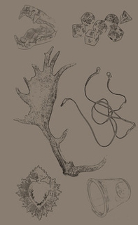 To enter the forest - Librerie.coop