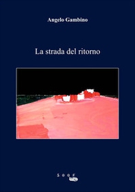 La strada del ritorno - Librerie.coop