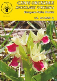 Giros. Orchidee spontanee d'Europa - Vol. 2 - Librerie.coop