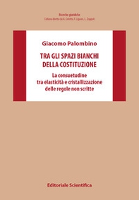 Tra gli spazi bianchi della Costituzione. La consuetudine tra elasticità e cristallizzazione delle regole non scritte - Librerie.coop Tra gli spazi bianchi della Costituzione. La consuetudine tra elasticità e cristallizzazione delle regole non scritte - Librerie.coop
